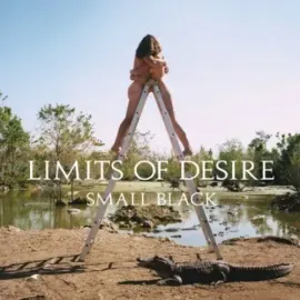 Виниловая пластинка Small Black - Limits of Desire [New Vinyl LP]