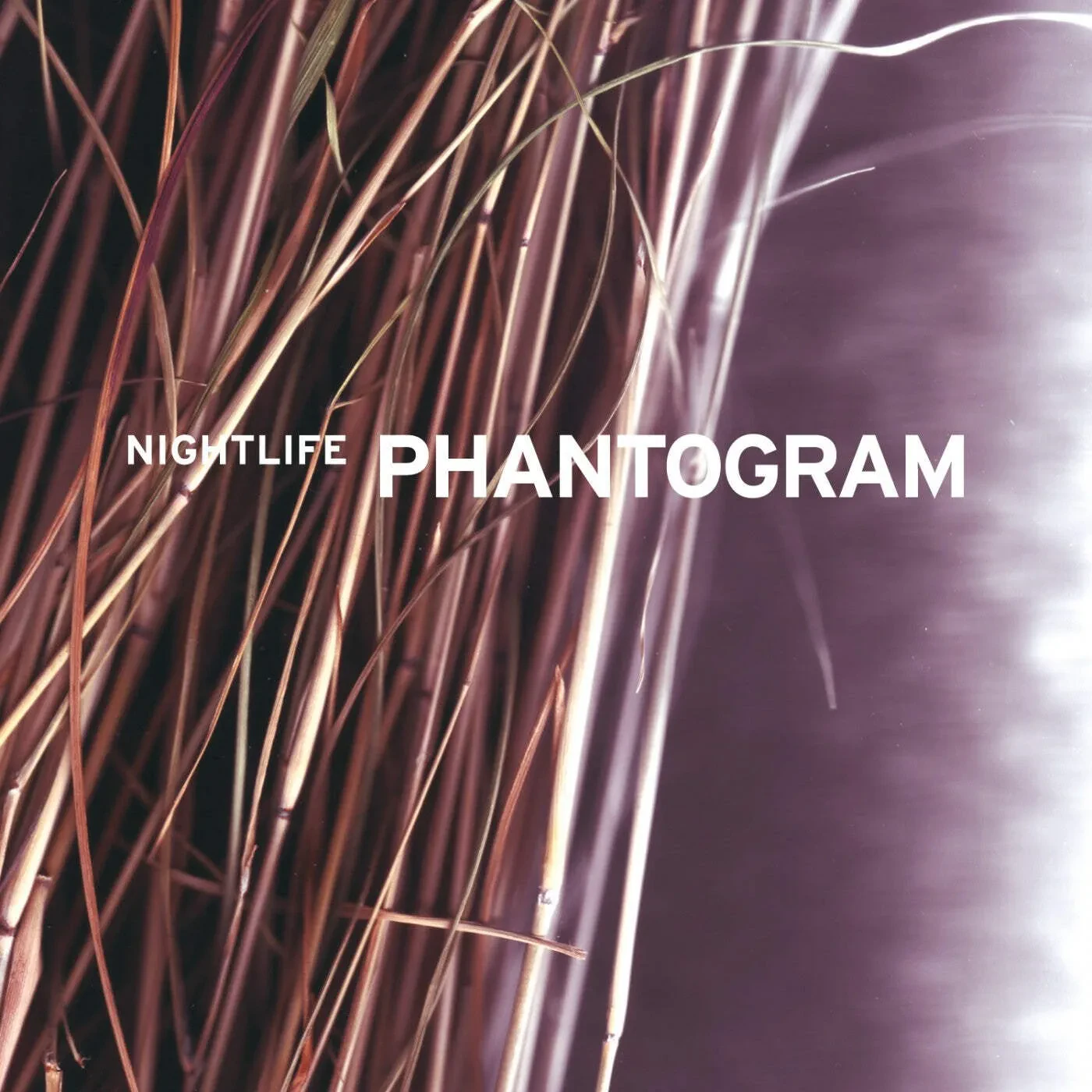 Виниловая пластинка Phantogram – Nightlife Релиз 2025