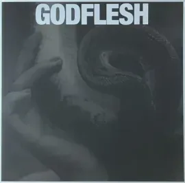 Виниловая пластинка GODFLESH – Purge