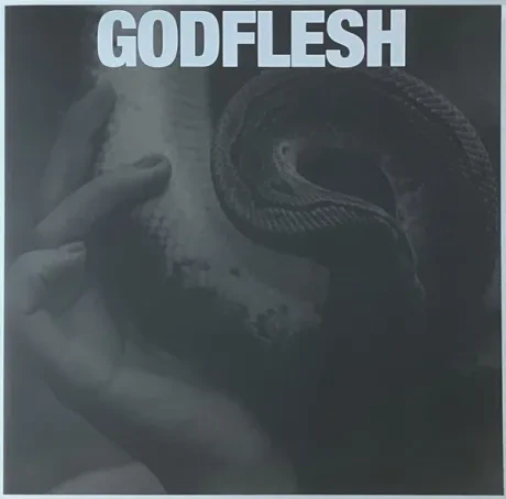 Виниловая пластинка GODFLESH – Purge