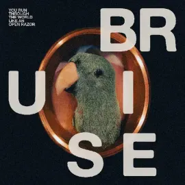 Виниловая пластинка Bruise Blood – You Run Through the World Like An Open Razor (Релиз 2026)