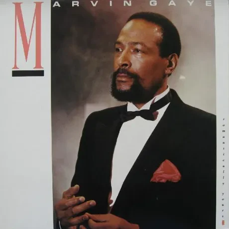 MARVIN GAYE - Romantically Yours (LP , Used)