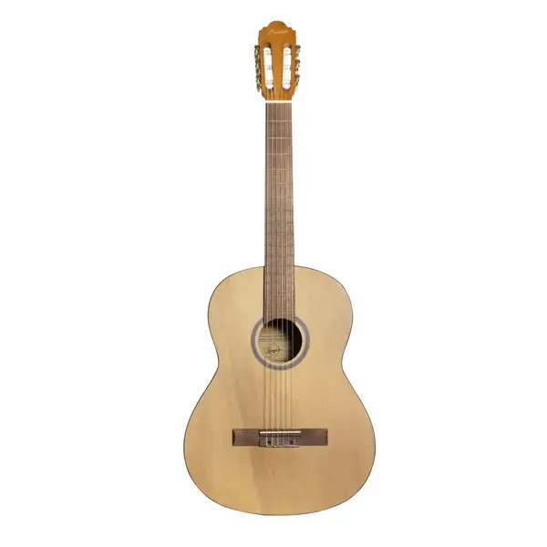 Классическая гитара Bamboo GCI-39 Pro
