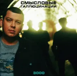Виниловая пластинка СМЫСЛОВЫЕ ГАЛЛЮЦИНАЦИИ – 3000