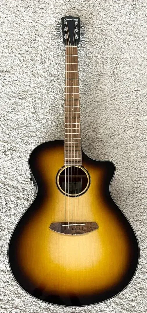 Электроакустическая гитара Breedlove ECO Discovery S CE Edgeburst