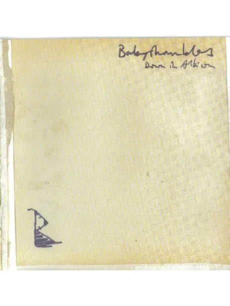 BABYSHAMBLES - Down In Albion (CD)