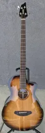 Бас-гитара акустическая Breedlove Solo Pro CE Edgeburst с кейсом