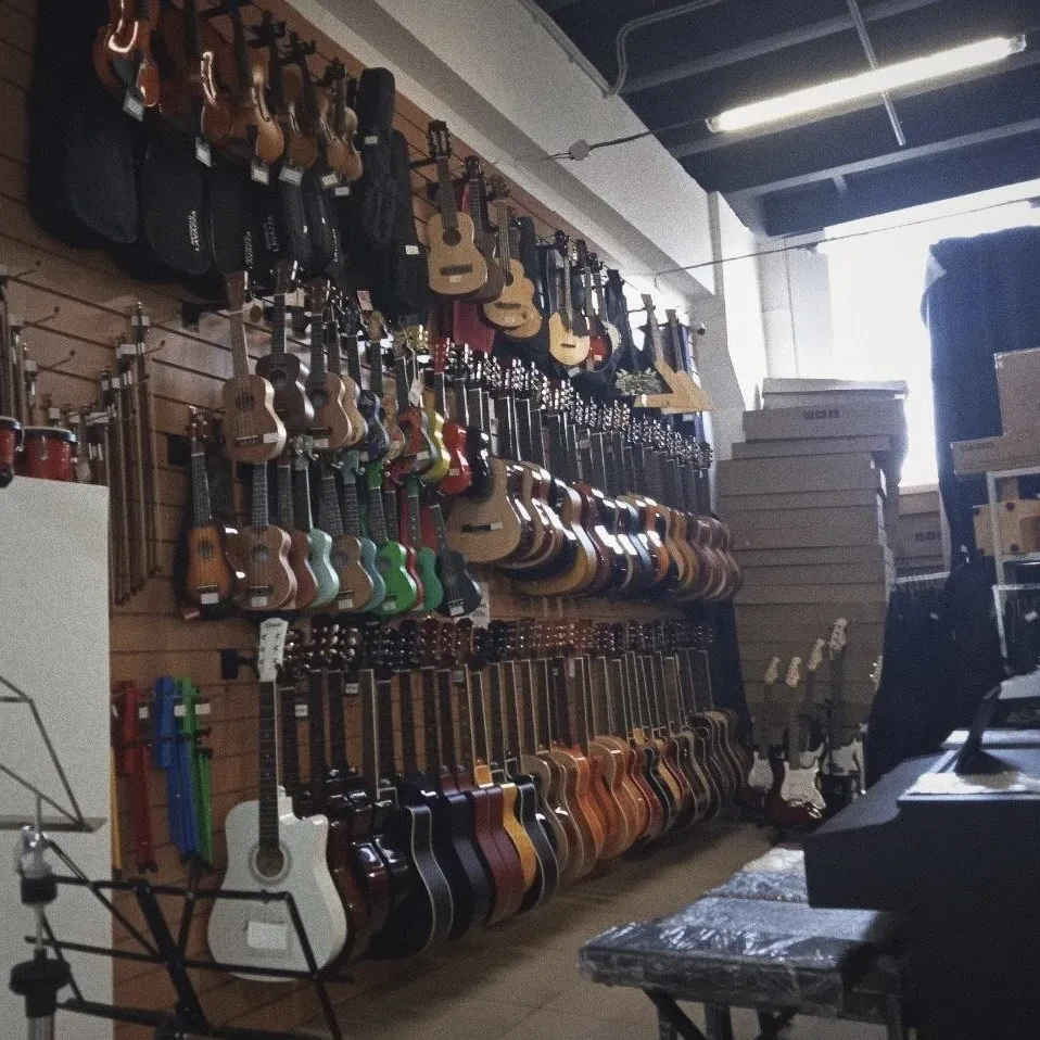 SKIFMUSIC — музыкальный магазин в Электростали