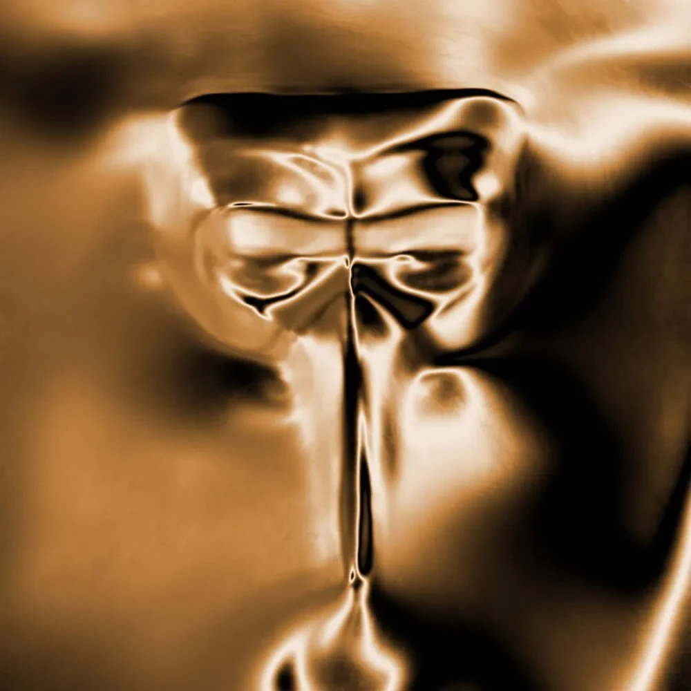 Виниловая пластинка Claptone – Wanderer Релиз 2026