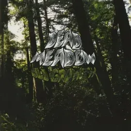 Виниловая пластинка Dead Meadow - Old Growth [New Vinyl LP]