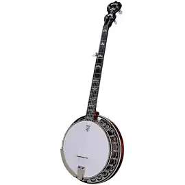 Банджо Deering Eagle II 5-String Resonator Banjo