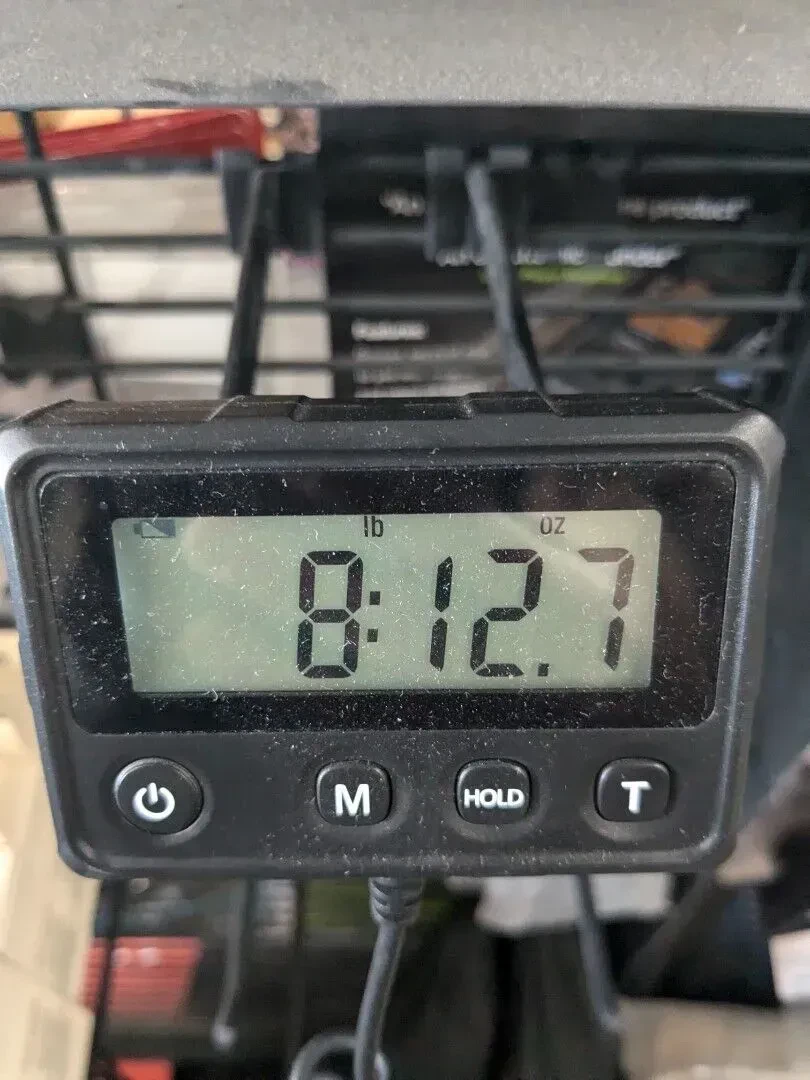 Изображение №7