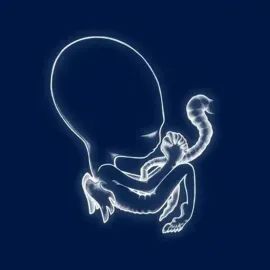 Виниловая пластинка Sigur Ros – Ágætis byrjun 2021 Sealed