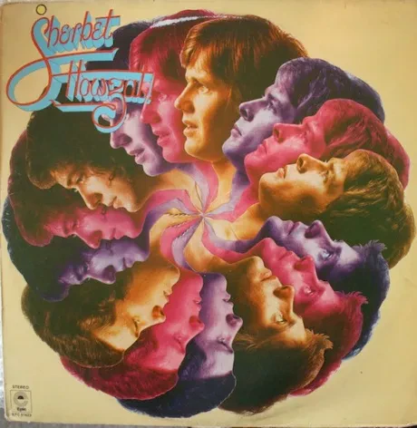 SHERBET - Howzat (LP , Used)