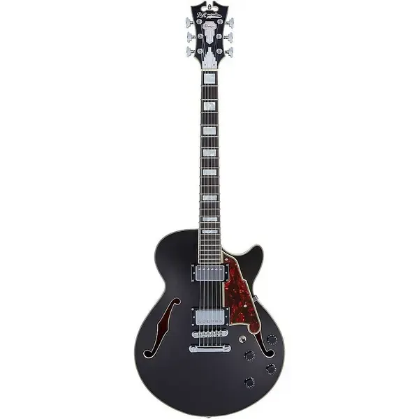 Электрогитара полуакустическая D'Angelico Premier SS Semi-Hollow with Stopbar Tailpiece Black Flake