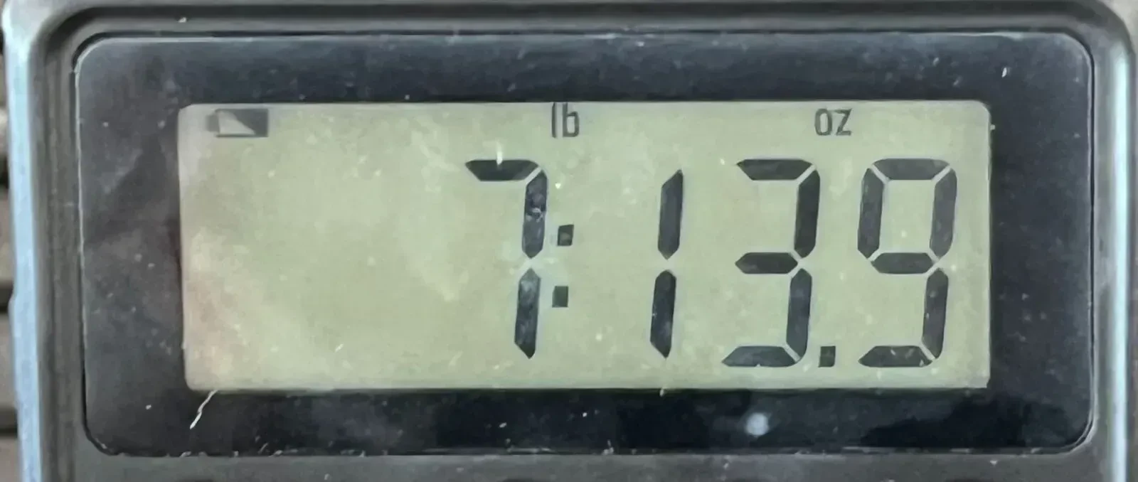 Изображение №8