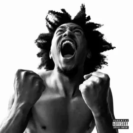 Виниловая пластинка Bobby Sessions – Manifest Релиз 2022 Sealed