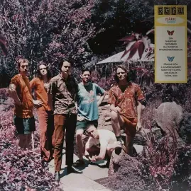 Виниловая пластинка King Gizzard and the - Butterfly 3000 [Swedish] [New Vinyl LP] Ltd