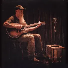 Виниловая пластинка Seasick Steve – Blues In Mono