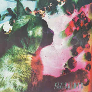 Виниловая пластинка Pale Saints – The Comforts Of Madness