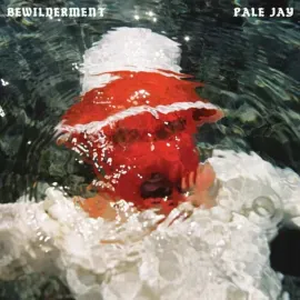 Виниловая пластинка Pale Jay – Bewilderment 2023