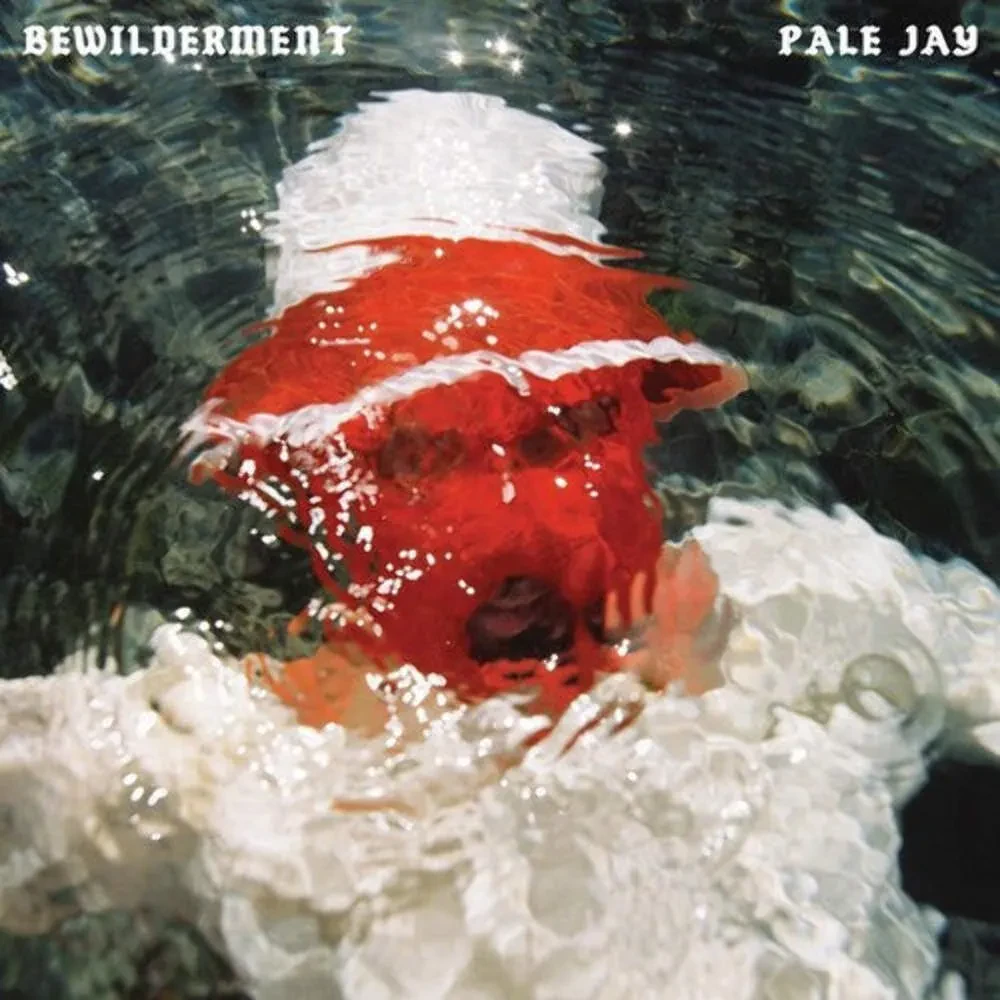 Виниловая пластинка Pale Jay – Bewilderment 2023