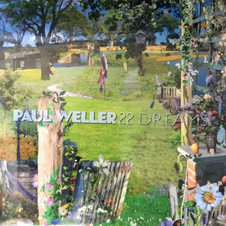 Виниловая пластинка Paul Weller – 22 Dreams