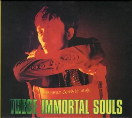 THESE IMMORTAL SOULS - I'm Never Gonna Die Again (CD)