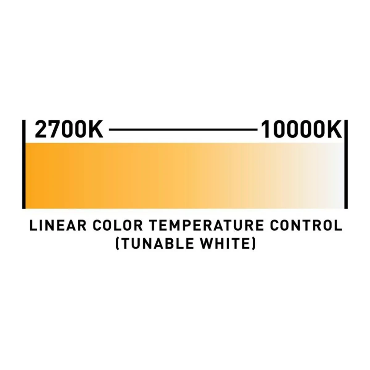 Изображение №11