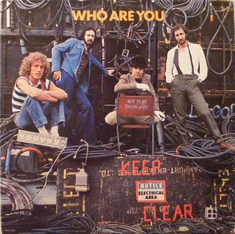 THE WHO - Who Are You (LP , Used)