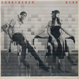 Виниловая пластинка Andrew Bird & Madison Cunningham – Cunningham Bird (Релиз 2024)