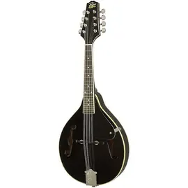 Мандолина Rogue RM-100A A-Style Mandolin Black