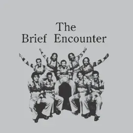 Виниловая пластинка The Brief Encounter – Introducing The Brief Encounter 2021