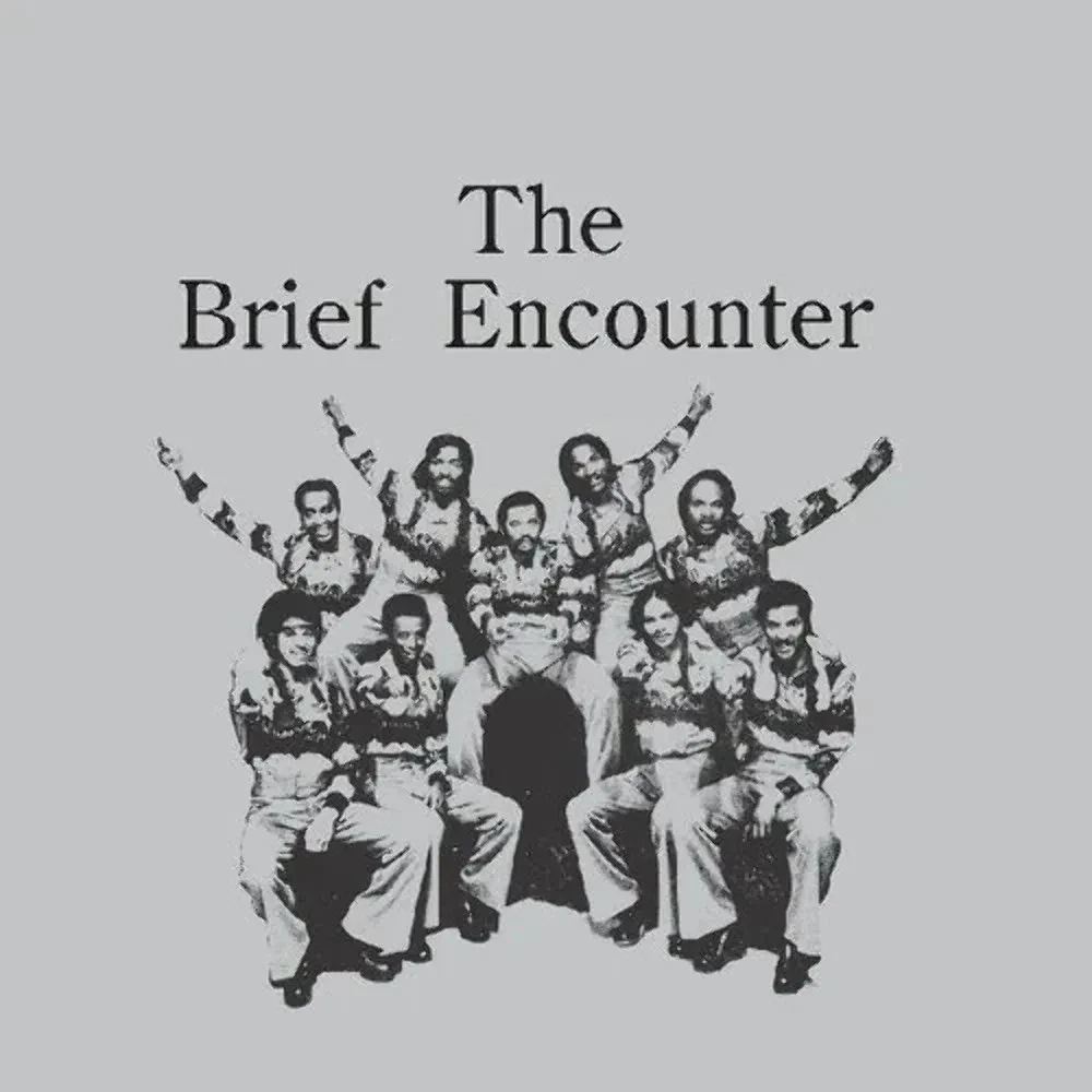 Виниловая пластинка The Brief Encounter – Introducing The Brief Encounter 2021