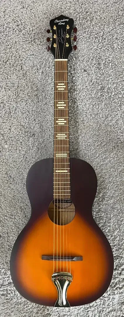 Recording King RPS-JTE-T Justin Townes Earle Single O Acoustic Guitar - B-Stock