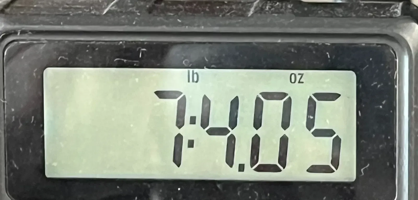 Изображение №11