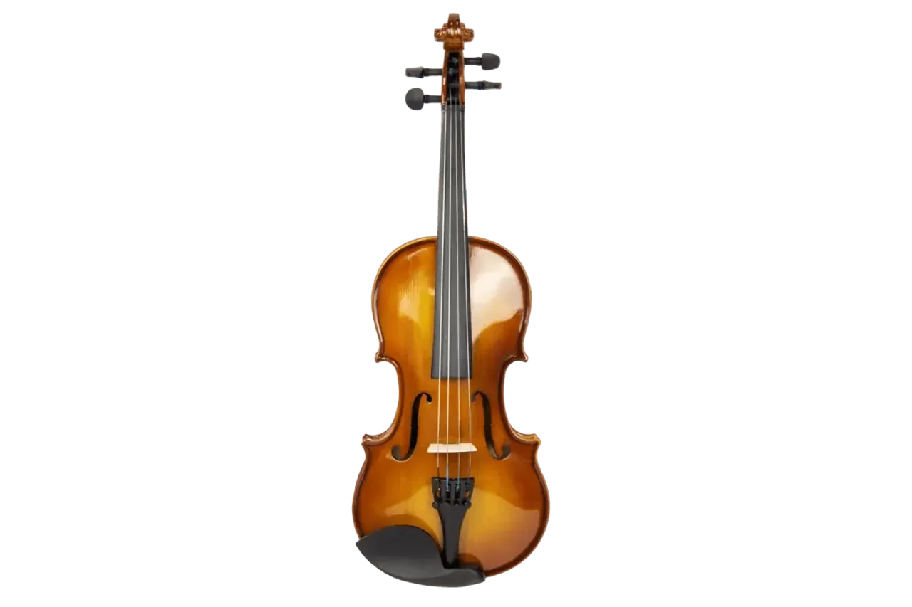 Скрипка Livingstone L-V100 1/2