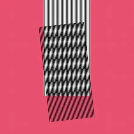 Виниловая пластинка Hot Chip – Why Make Sense?