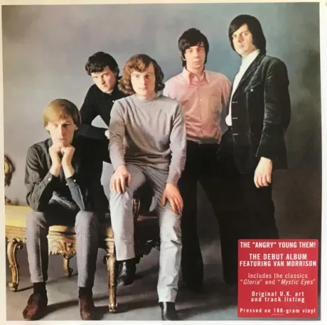 THEM - The Angry Young Them! (LP , Used)