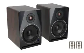 Se Electronics RN17 Cardioid Pair Capsules for RN17 Studio Microphone+Monitors