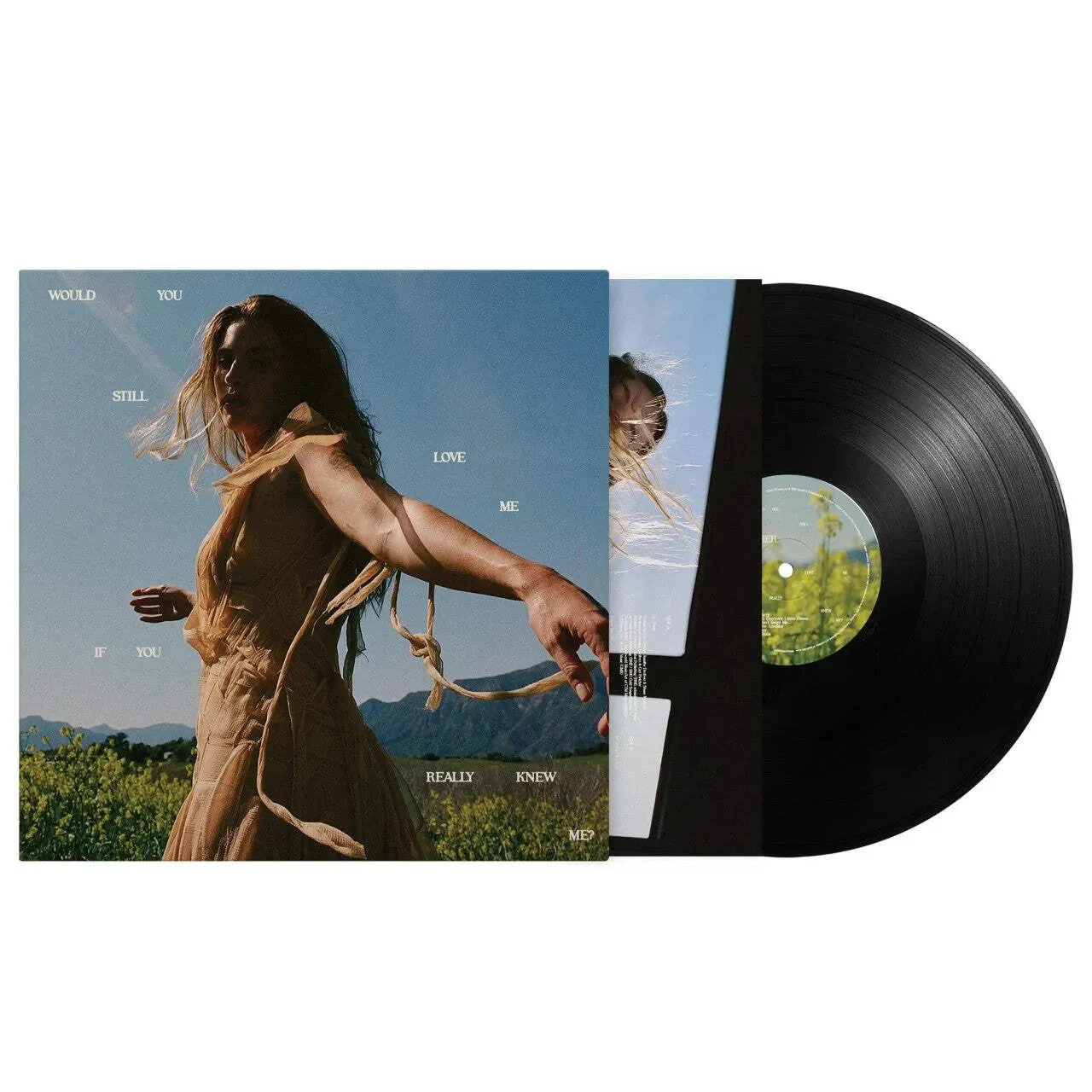 Виниловая пластинка Fletcher – Would You Still Love Me If You Really Knew Me? (Релиз 2025)