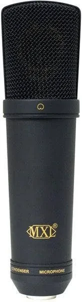 2003A Large-Diaphragm Condenser Microphone
