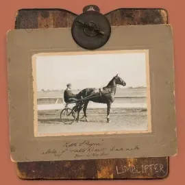 Виниловая пластинка Limblifter - Little Payne [New Vinyl LP]
