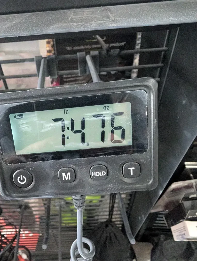 Изображение №7