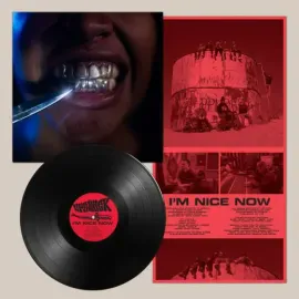 Виниловая пластинка Upchuck – I’m Nice Now Релиз 2025