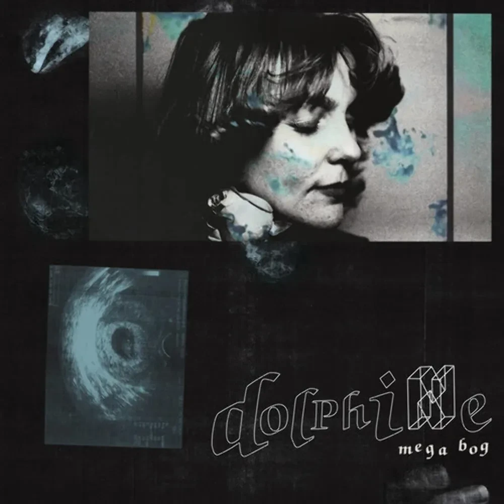 Виниловая пластинка Mega Bog – Dolphine Sealed