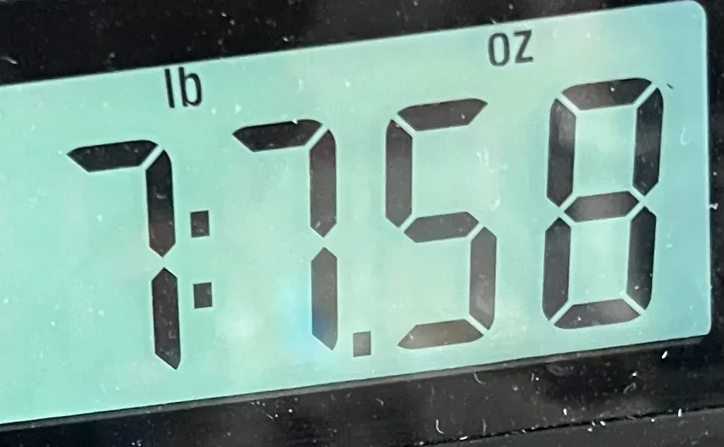 Изображение №2