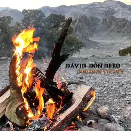 Виниловая пластинка David Dondero – Immersion Therapy (Релиз 2023) Sealed