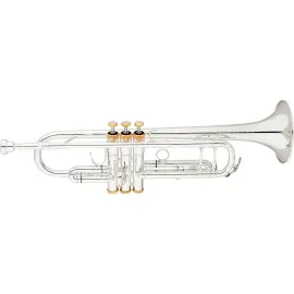 Труба Eastman ETR520GS Advanced Series Bb Silver