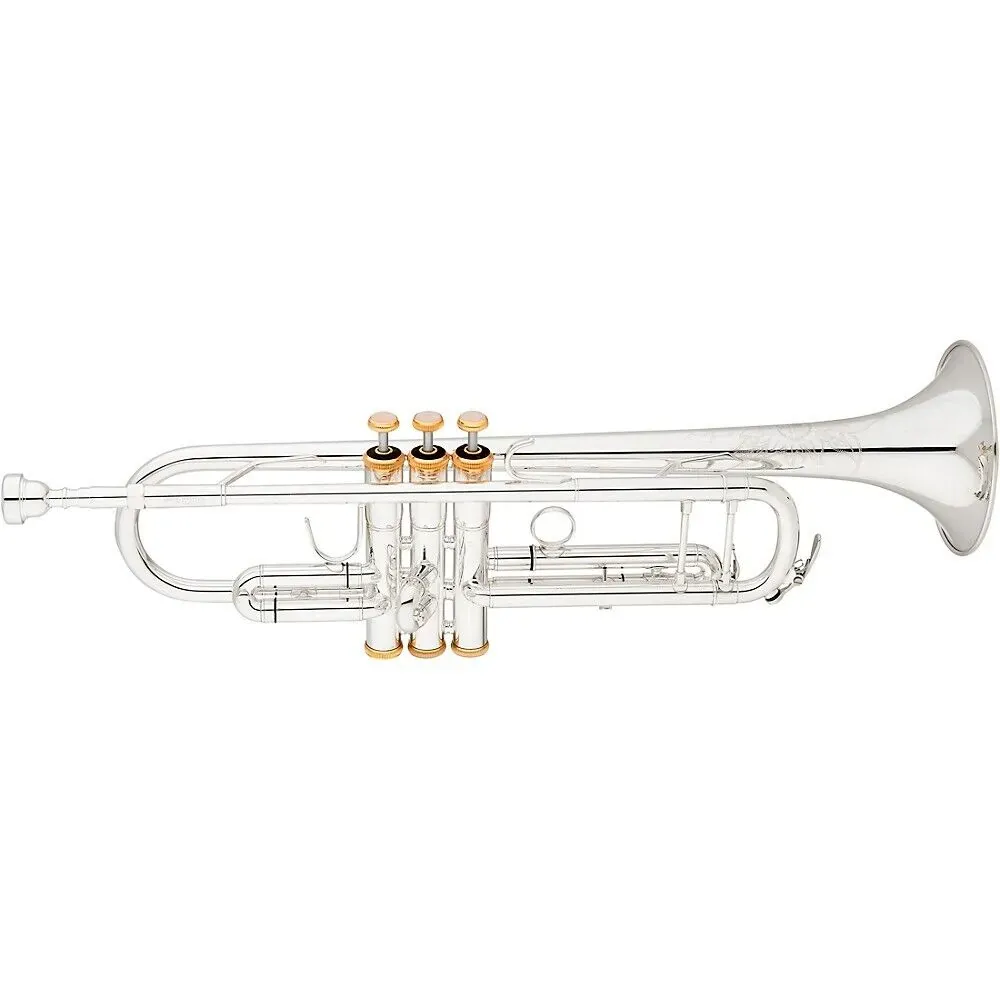 Труба Eastman ETR520GS Advanced Series Bb Silver